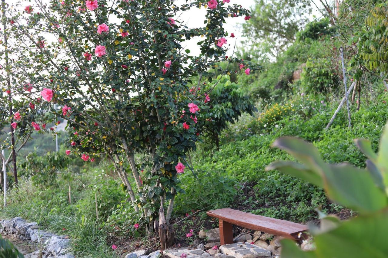 Moc Chau Peachy Gardenアパートメント エクステリア 写真